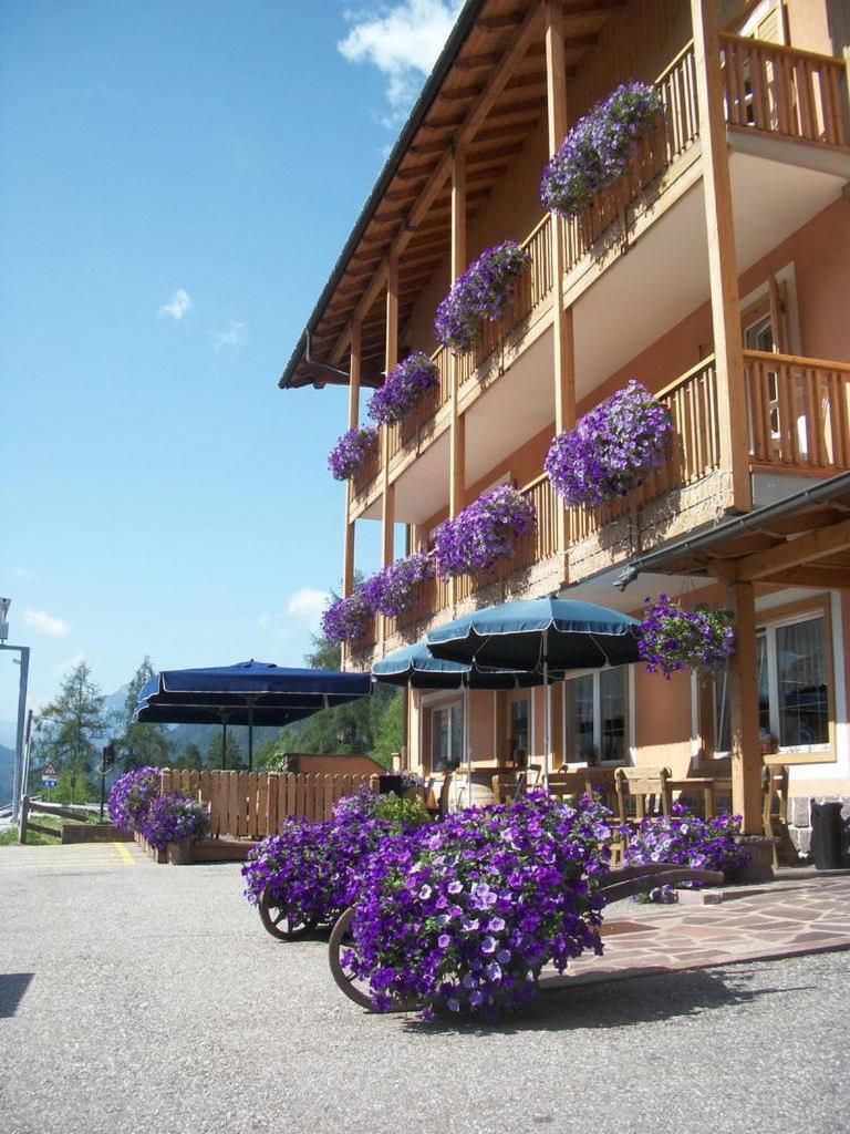 Hotel Vallechiara Moena Kültér fotó