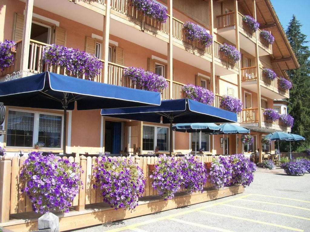 Hotel Vallechiara Moena Kültér fotó